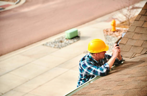 Best Roof Gutter Cleaning  in Tignall, GA
