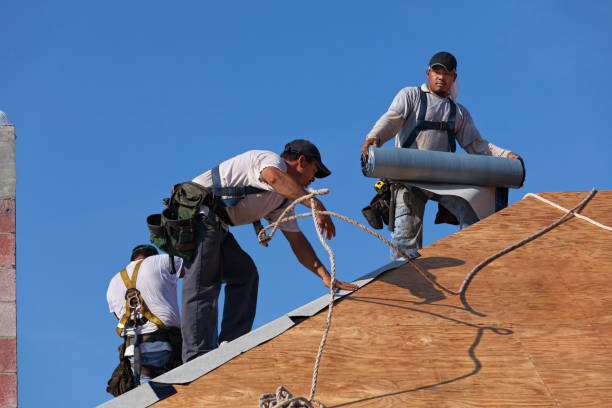 Best Storm Damage Roof Repair  in Tignall, GA