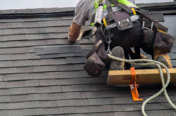 Best Metal Roofing Contractor  in Tignall, GA